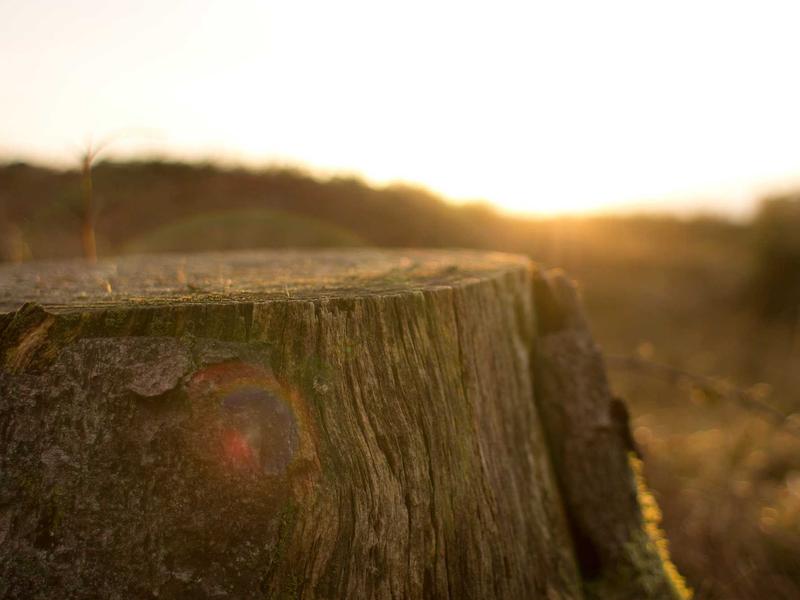 android screenshot 2